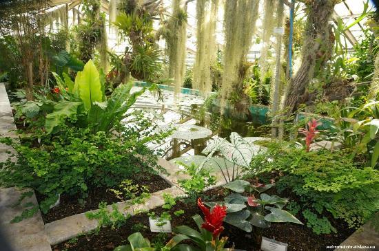 Botanical Garden of the Comenius University